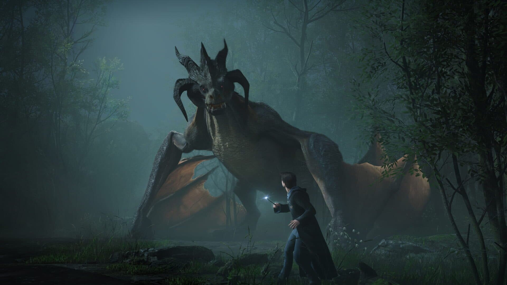 background cover